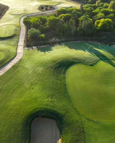 How Limassol Greens Will Transform Limassol