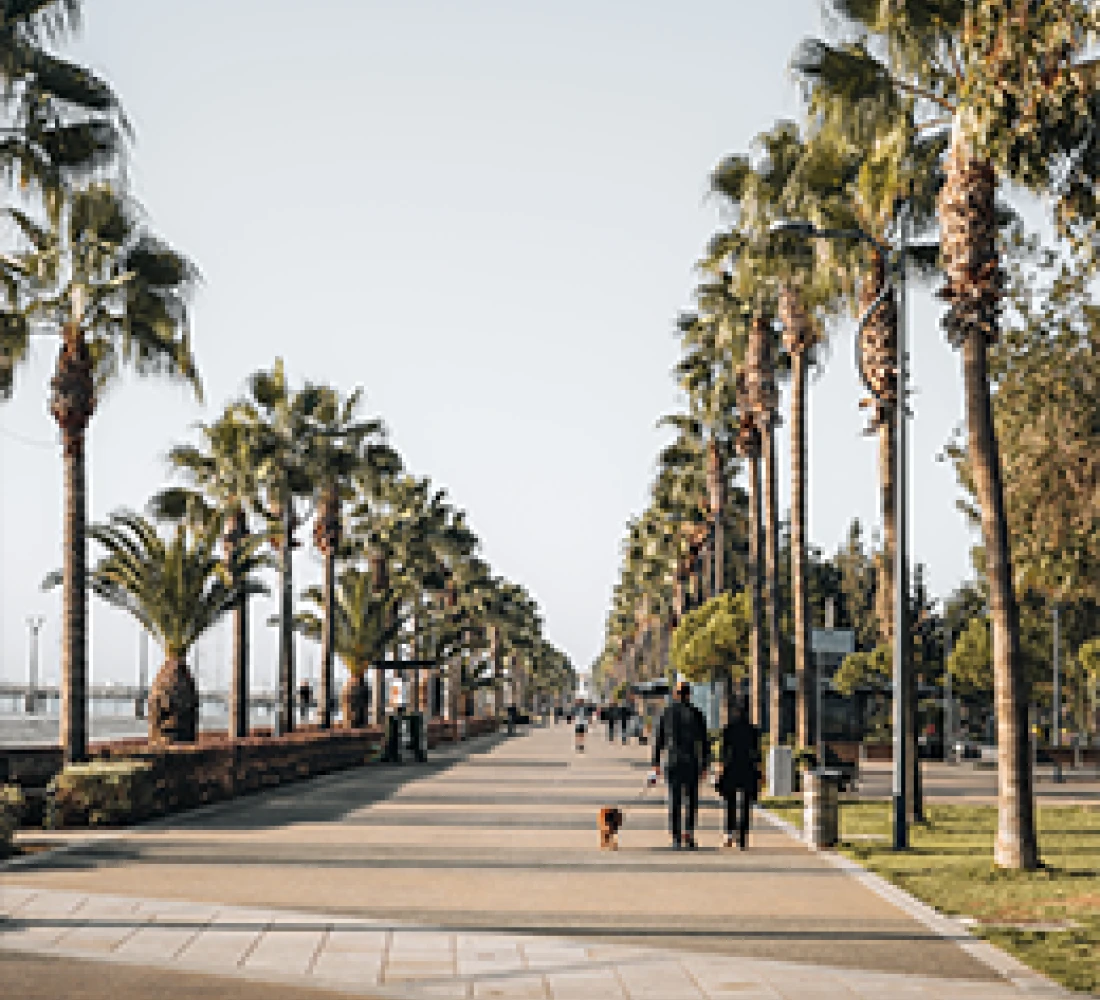The Permanent Residency in Cyprus Process